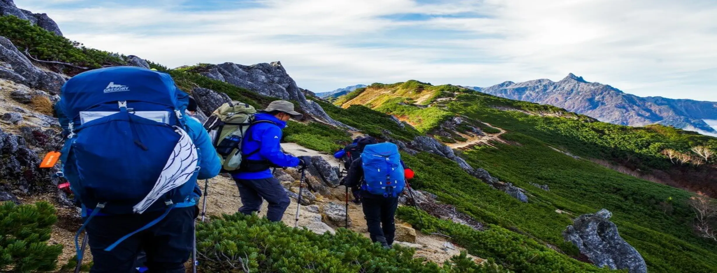 Image for Hiking Expeditions